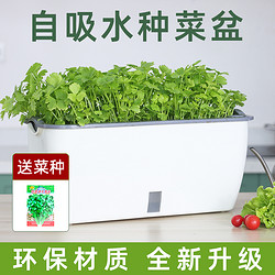 阳台种菜盆家庭蔬菜种植盆专用箱自吸水室内草莓盆栽懒人塑料花盆