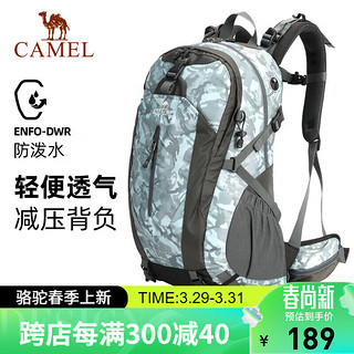 CAMEL 骆驼 户外登山大容量多功能徒步旅行运动爬山双肩背包1F01018-1雪烟灰