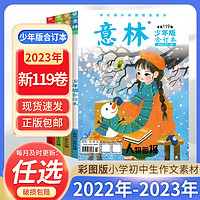 意林少年版合订本2023年少年习作小学初中生作文素材校园读物杂志