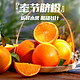 笮水田园 重庆奉节脐橙 果径 65-70mm  净重最少4.5斤