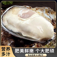 秒杀1000单！乳山生蚝 5XL特大号 5.5斤装 （带官方溯源防伪标识、死蚝包赔）