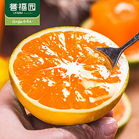 誉福园 新鲜橙子组合5斤装当季鲜橙整箱甜橙应季水果酸甜多汁