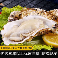 鲁禧 乳山生蚝鲜活6XL特大牡蛎 山东地标产品 新鲜海蛎子 刺身级生蚝 【优选蚝XL号箱装5斤】