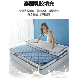 南极人乳胶记忆棉床垫软垫家用卧室宿舍单人加厚榻榻米海绵秋冬垫子 XZ-方格典雅蓝-久睡不塌释压回弹 150*200cm 厚6cm床垫