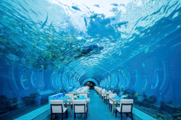 亲子友好!一线海景!自带宝藏海底餐厅!三亚海棠湾天房洲际度假酒店 豪华房-大床 2晚(连住)+天津湾全日餐厅早餐 2 份/天
