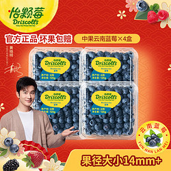 Driscoll's Only the Finest Berries 怡颗莓 当季云南蓝莓 国产蓝莓 新鲜水果 云南当季125g*4盒