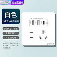 fdd 国际电工 双USB插座面板20W快充墙壁无需充电头Type-c家用五孔插座快充面板 五孔2.1A双USB+type-c