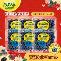 怡颗莓 当季新鲜蓝莓  125g/盒 12mm+