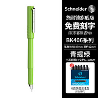 施耐德电气 施耐德（Schneider）钢笔学生成人练字笔男女三四年级办公专用签字笔德国进口墨水笔EF尖BK406-青提绿 可定制