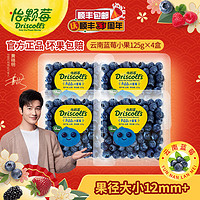 DRISCOLL'S/怡颗莓 怡颗莓蓝莓小果125g*4盒 云南当季限量水果鲜果新鲜采摘果径12mm+
