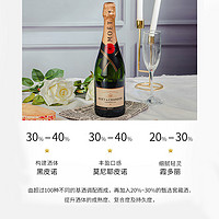 MOET & CHANDON 酩悦 燃力士电解质冲剂 0糖0脂运动补水固体饮料 便携电解质水7g