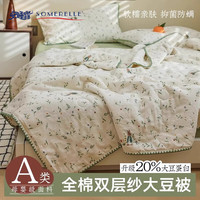 安睡宝（SOMERELLE）全棉双层纱大豆纤维夏凉被家用双人空调被夏季A类薄被子可机洗被 薇拉【20%大豆纤维填充】 150x200cm单夏被【A类全棉面料】