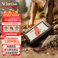 SanDisk professional 闪迪大师 极客USB Type-C/3.1  兼容雷电3/4高速便携2.5英寸外置存储 便携防摔手机直连 三防移动硬盘  2TB