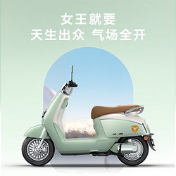 Yadea 雅迪 冠能奢享Q9 電動車