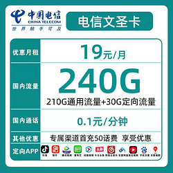 中国电信 CHINA TELECOM 文圣卡 首年19元月租 （240GG国内流量+首月免租）返20元