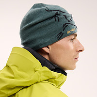 ARC'TERYX 始祖鸟 BIRD HEAD  透气 男女同款 绒线帽