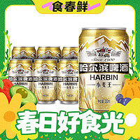 春焕新：哈尔滨啤酒 小麦王啤酒450ml*15听