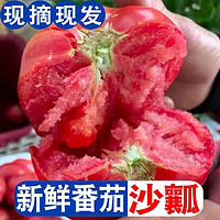 鼎鲜满 现摘速发 陕西泾阳生吃沙瓤   草莓西红柿    净重4.5斤  50箱大果秒杀