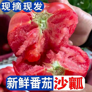 鼎鲜满 现摘速发 陕西泾阳生吃沙瓤   草莓西红柿    净重4.5斤  50箱大果秒杀