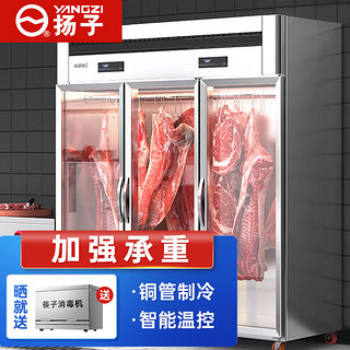 扬子挂肉柜商用牛羊肉保鲜柜冷鲜肉猪肉排酸展示柜冷藏立式冰柜三门标准款双杠1.8m*0.7m*1.92m