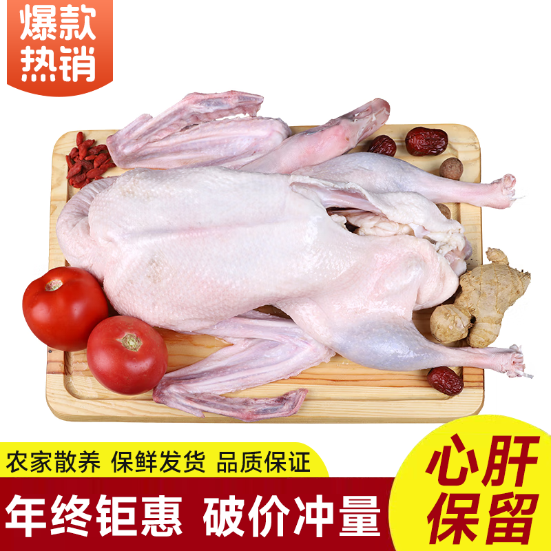 农家散养大白鹅嫩鹅整只新鲜现杀土鹅大鹅肉质紧实煲汤红烧生鲜现 大白鹅杀后6-7斤