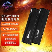 SK hynix 海力士 新乐士（SAMNIX）台式机内存条 16GB(8GBx2)DDR4 3600MHz C18 黑色 海力士CJR 狂刃战士电竞游戏