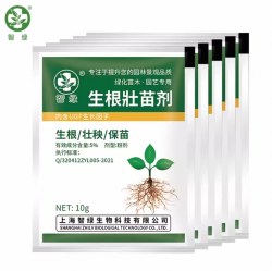智绿 植物通用 生根粉 10g*5袋