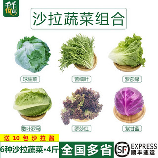 千牛优福新鲜生菜组合4斤球生菜红叶等6种沙拉蔬菜轻食蔬菜包 6种蔬菜共4斤【10包酱】