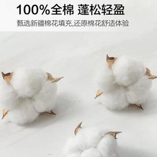 洁丽雅全棉100%纯棉床笠单件纯棉加厚单双人宿舍卧室家用床罩床垫保护套 恐龙派对 150*200cm