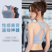 Rianne.He 莉安赫运动内衣女防减震无钢圈文胸健身跑步网纱透气美背瑜伽背心 M
