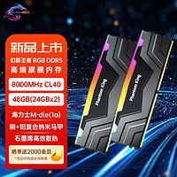 SK hynix 海力士 新乐士（SAMNIX）台式机内存条 48GB(24GBx2)DDR5 8000Mhz C40 黑灰 RGB灯条 海力士M-die 幻影王者电竞游戏