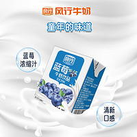 Fengxing Milk 风行牛奶 蓝莓味牛奶饮品200ml*12盒酸甜便携整箱礼盒装官方旗舰店