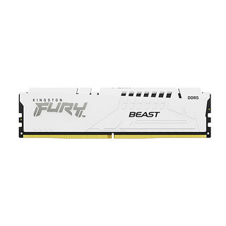 Kingston 金士顿 FURY Beast超级野兽系列 DDR5 6800MHz  马甲条 白色 32GB 16GBx2 CL34