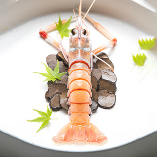 掌鲜生活新西兰南极鳌虾 1KG SCAMPI斯干比虾特大甜虾刺身深海牡丹虾 鳌虾1号（7-10只）