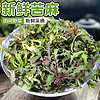 密水农家农家山坡苦麻 野菜 每日现挖现卖 新鲜蔬菜 苦麻250g*2份