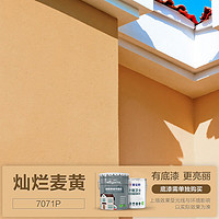 CARPOLY 嘉宝莉 靓家外墙漆防水防晒乳胶漆工程建筑墙面漆环保涂料彩色深色油漆 灿烂麦黄 1kg,可刷约5㎡两遍