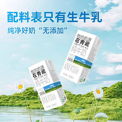 XIAOXINIU 小西牛 纯牛奶盒装学生早餐牛奶整箱牛奶250ml*20盒 1件装