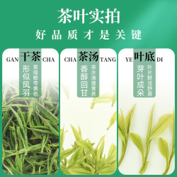 承艺茗茶 承艺新茶茶叶绿茶安吉珍惜白茶雨前一级春茶100克