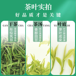 88VIP：承艺茗茶 承艺新茶茶叶绿茶安吉珍惜白茶雨前一级春茶100克