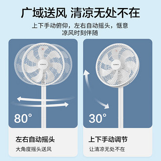 KONKA 康佳 电风扇遥控家用风扇轻音小风扇台地两用空气循环扇KLDS-3001E-P