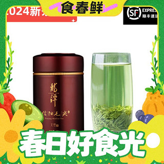 春焕新：LONG TAN 龍潭 2024年新茶 信阳毛尖 铁罐散装绿茶 50g