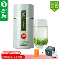 WenXin Tea 文新 信阳毛尖2024年新茶 特级嫩芽4A 250g