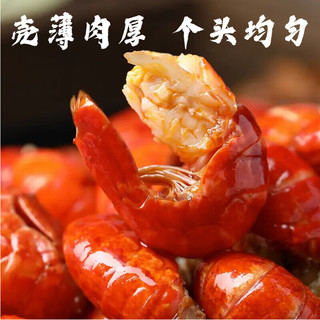 盱眙龙虾麻辣小龙虾尾 冷冻加热即食 蒜香 蒜蓉十三香海鲜龙虾球 生鲜虾类 精选麻辣小龙虾尾250g*12份