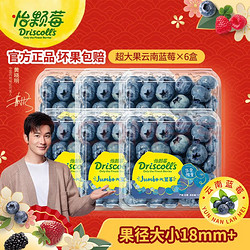 怡颗莓 当季云南蓝莓 国产蓝莓 125g*6盒