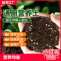 TIANWO 甜沃 营养土养花通用专用种菜土壤种植土绿植物多肉育苗家用盆栽种花土