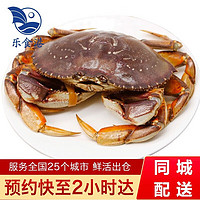 乐食港 鲜活珍宝蟹大螃蟹（700-800g/1只）加拿大太子蟹海鲜水产