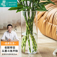 墨斗鱼 玻璃花瓶透明植物插花瓶水培容器大花瓶装饰客厅摆件直筒款25cm