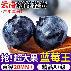 blueberry 蓝莓 顺丰速发云南蓝莓大果 超甜孕妇水果当季新鲜水果 4盒460g 大果15mm+