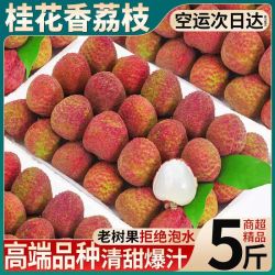 曲迪海南头茬桂花香荔枝5斤礼盒装京东空运