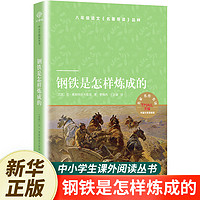 钢铁是怎样炼成的 8年级下册初中二年级课外阅读 天猫文库定制版 译林出版社 中小学生青少年课外书正版 小译林中小学生阅读丛书